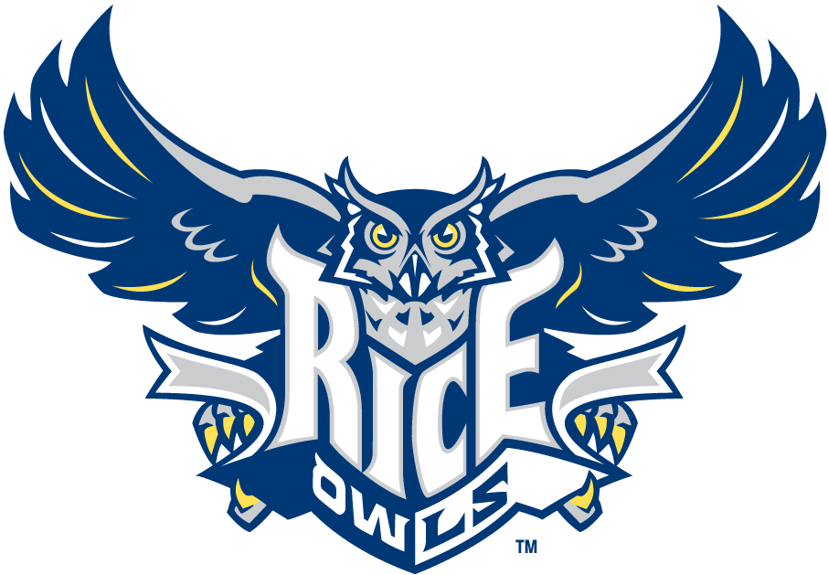 Rice Owls 2003-2009 Primary Logo iron on transfers for clothing